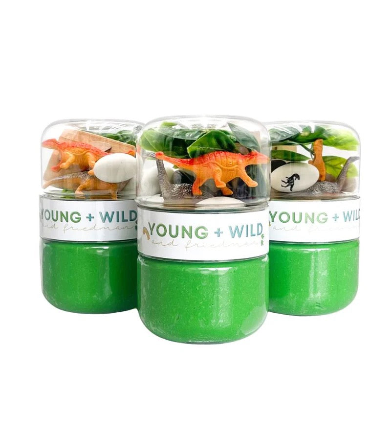YWF Dino, OS